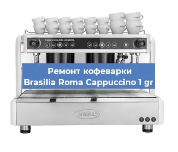 Ремонт капучинатора на кофемашине Brasilia Roma Cappuccino 1 gr в Нижнем Новгороде